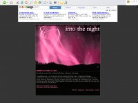 into the night :: pink version