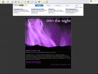 into the night :: purple version